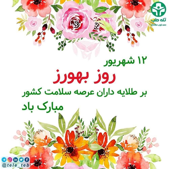 شبکه بهداشت و درمان نهبندان 