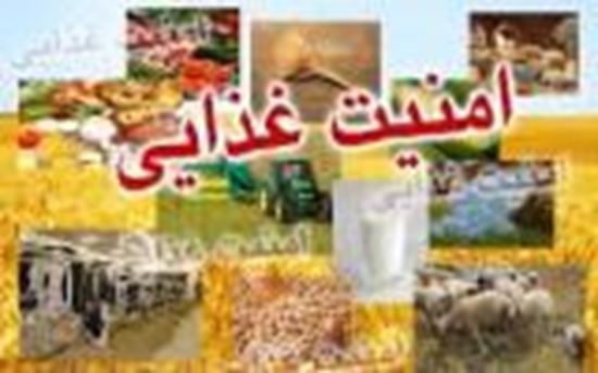 شبكه بهداشت و درمان نهبندان 